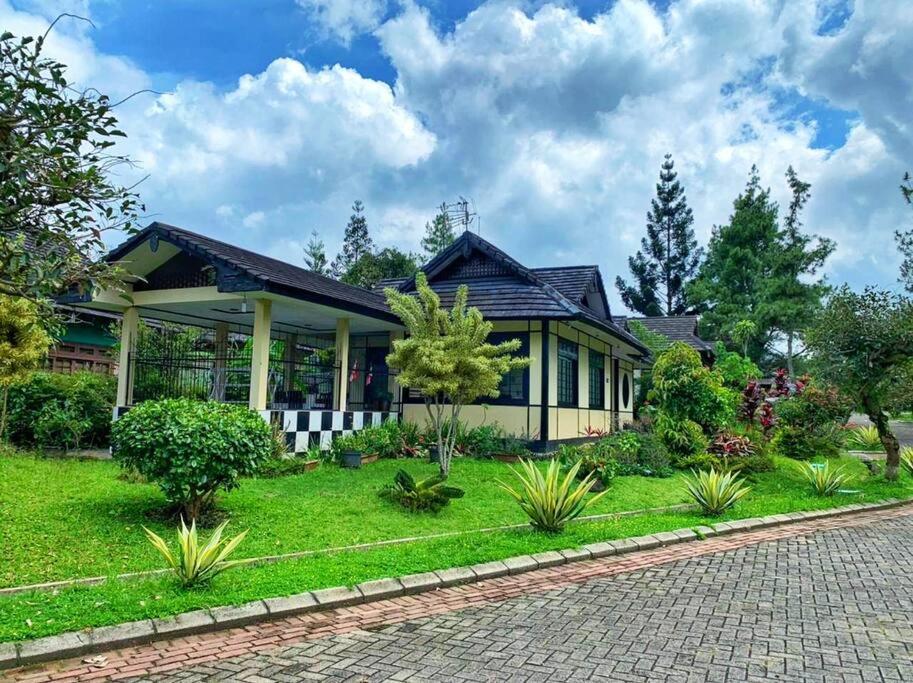 Designer Villa Osaka Пунчак Екстер'єр фото