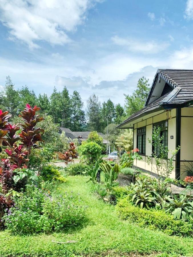 Designer Villa Osaka Пунчак Екстер'єр фото