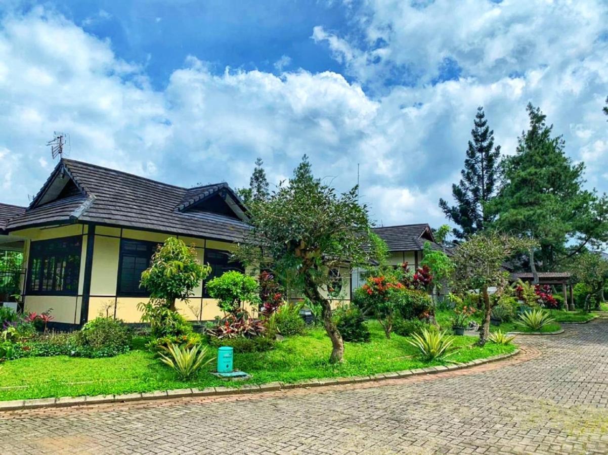 Designer Villa Osaka Пунчак Екстер'єр фото