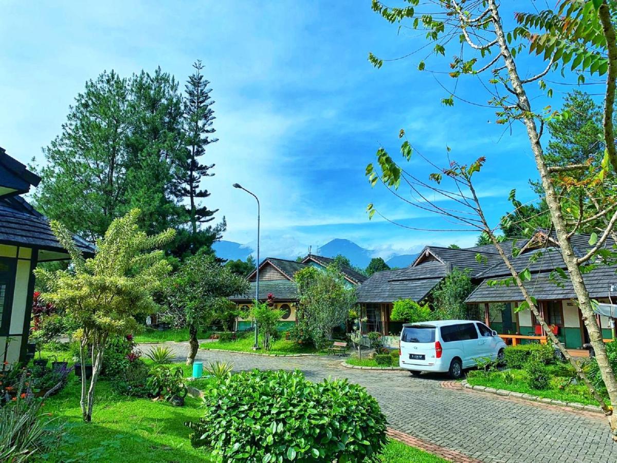 Designer Villa Osaka Пунчак Екстер'єр фото