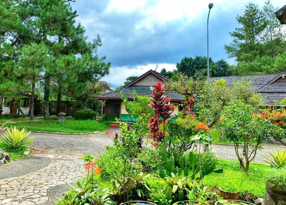Designer Villa Osaka Пунчак Екстер'єр фото